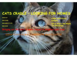 Cats Cradle