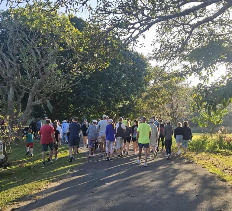 aedbd1ff-fedc-4c88-b37f-9fa0e8459d77