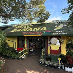mac banana south coast mac banana south coast