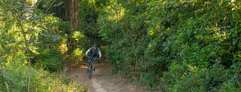 rocky bay trails