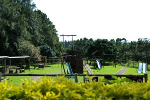 kc's coffee shop playground play area fresh food local first